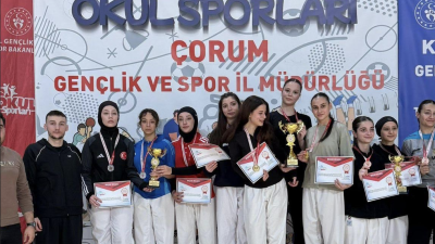 Türkiye Karate Federasyonu Okul Sporları, Okullar Arası A-B Gençler (K-E)