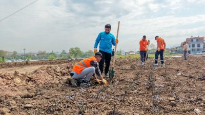 Yaylacık Mahallesi'nde yer alan 20 bin metrekarelik Gül Bahçesi Parkı'nda,