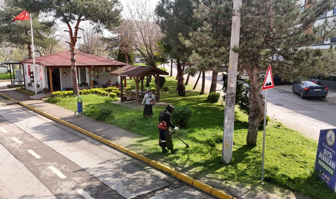 Kartepe Belediyesi, ilçe genelinde yeşil alanların daha düzenli ve temiz