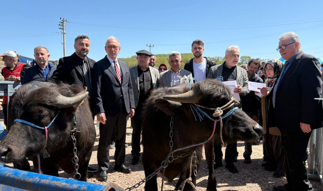 Kocaeli Büyükşehir Belediyesi’nin tarım ve hayvancılığa yönelik projeleri her geçen