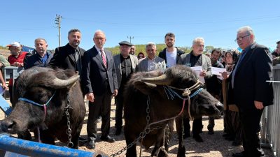 Kocaeli Büyükşehir Belediyesi’nin tarım ve hayvancılığa yönelik projeleri her geçen