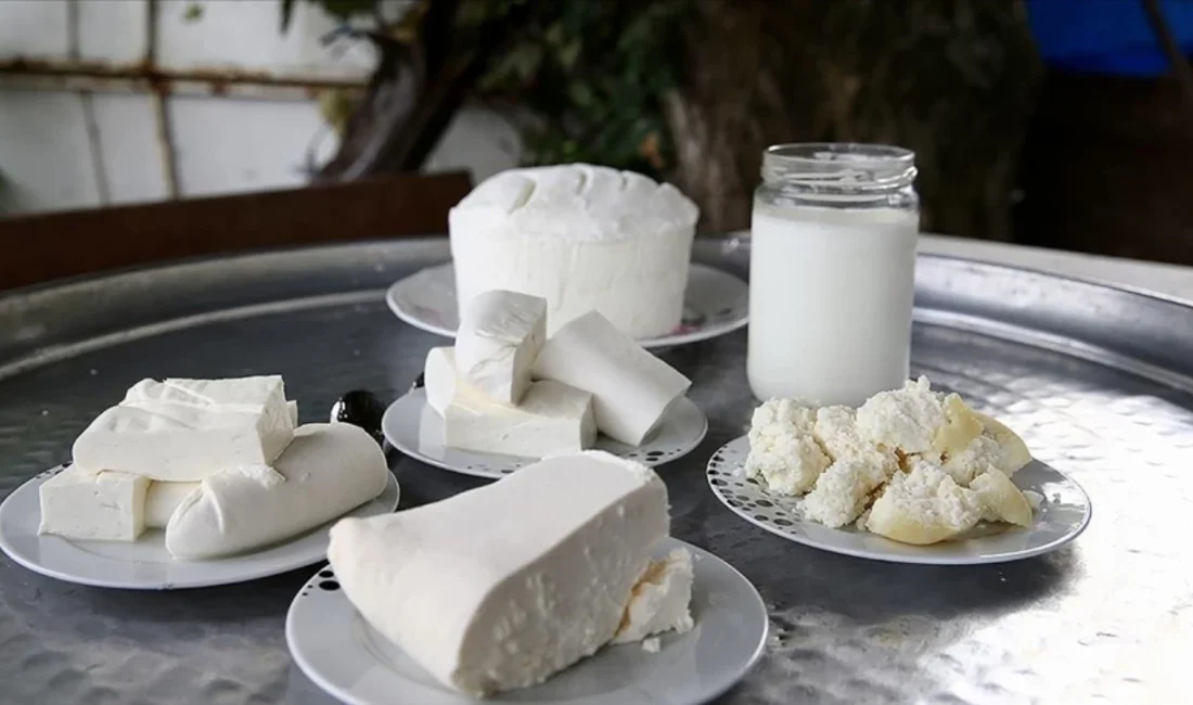 Tarım ve Orman Bakanlığı’nın güncellediği güvensiz ürünler listesinde bazı yoğurt