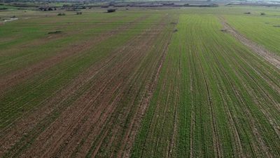 Kocaeli’de İzmit ilçesinde bulunan iki ayrı tarım arazisi, toplamda milyonlarca