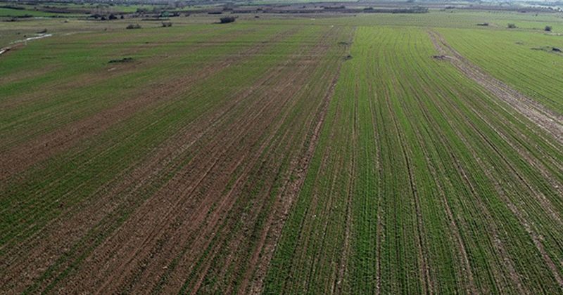Kocaeli’de İzmit ilçesinde bulunan iki ayrı tarım arazisi, toplamda milyonlarca