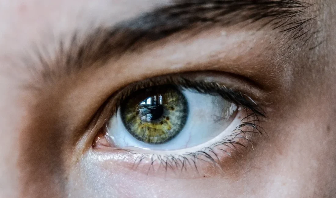 Bahar ayları, uzun ve soğuk kış sonrası ortaya çıkan polen