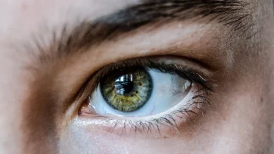 Bahar ayları, uzun ve soğuk kış sonrası ortaya çıkan polen