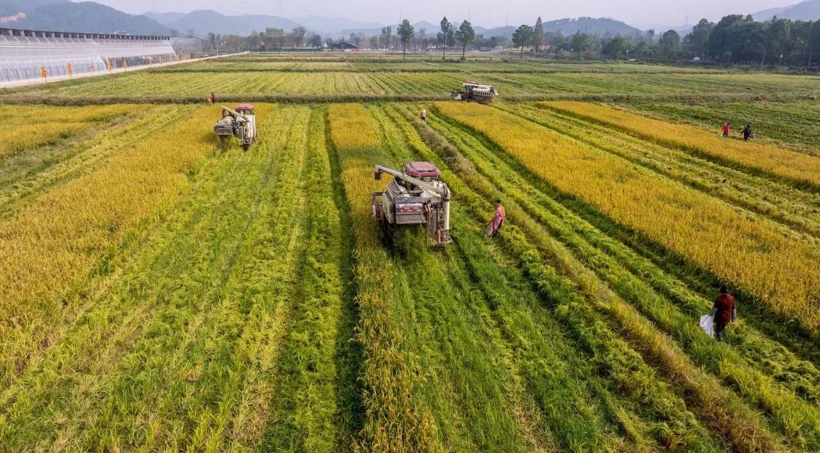Tarım ve Orman Bakanlığı, kırsal kalkınma yatırımları için 100 bin