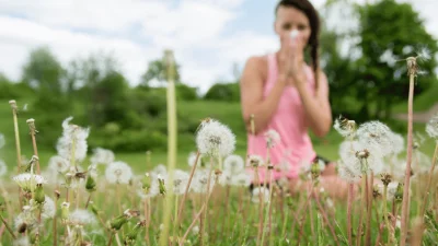 Bahar aylarıyla birlikte en sık gözlenen rahatsızlıkların başında polenlerin yol