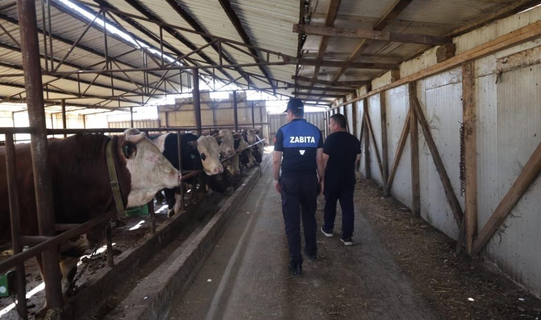Kurban Bayramı öncesinde Kartepe’de oluşturulan Kurban Hizmet Komisyonu, ilçe genelindeki