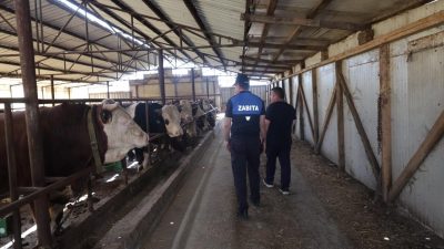 Kurban Bayramı öncesinde Kartepe’de oluşturulan Kurban Hizmet Komisyonu, ilçe genelindeki