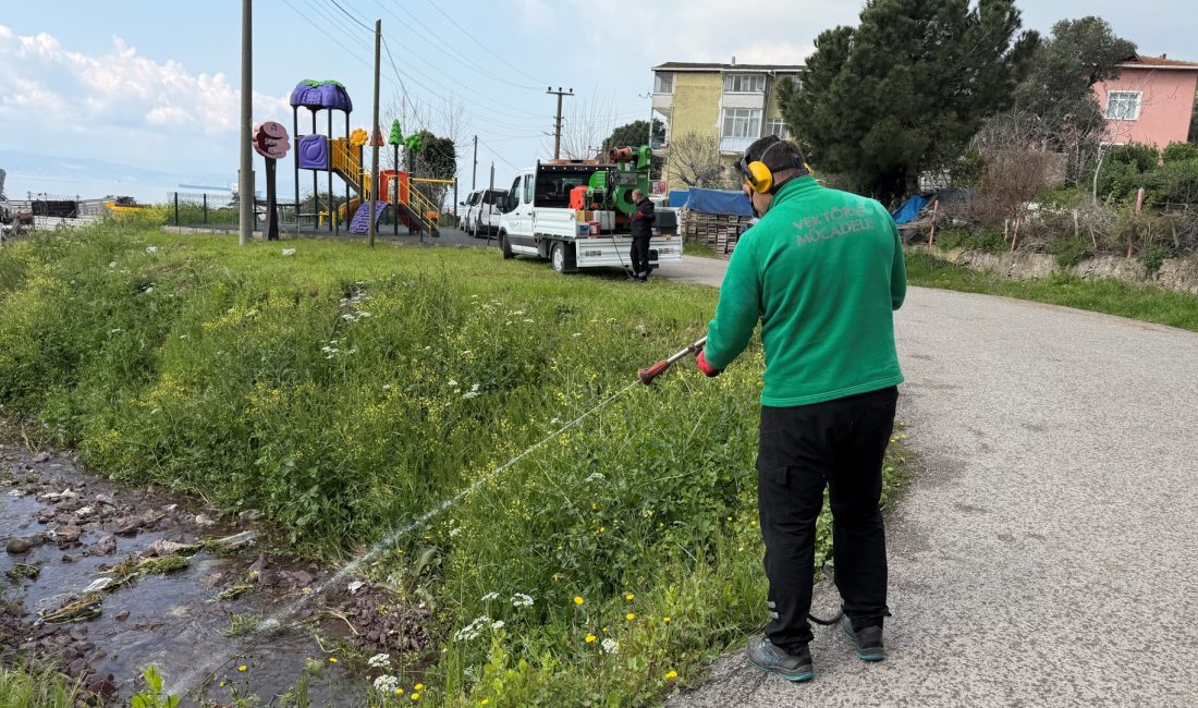 Kocaeli’de yaz aylarının yaklaşmasıyla birlikte sivrisinek ve karasinek tehdidine karşı