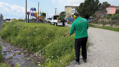 Kocaeli’de yaz aylarının yaklaşmasıyla birlikte sivrisinek ve karasinek tehdidine karşı