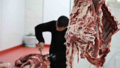 Kurban Bayramı’nda kurbanlıkların kesiminin ardından hemen dolaplara alınan etlerin kalitesinin