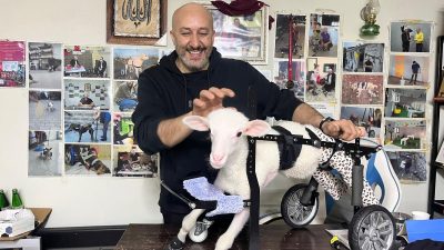 Kocaeli'nin Dilovası ilçesinde yaşayan hidrolik ustası Abdülmenaf Çelik, 20 metrekarelik