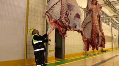 Kocaeli Büyükşehir Belediyesi, Kurban Bayramı öncesinde olumsuz görüntülerin oluşmaması adına