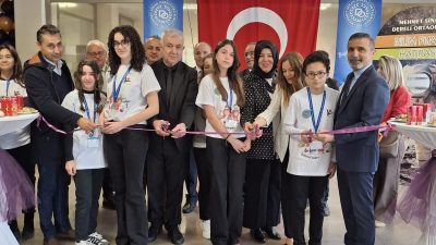 Mehmet Sinan Dereli Ortaokulu, TÜBİTAK 4006-B kapsamında 16 proje, 18