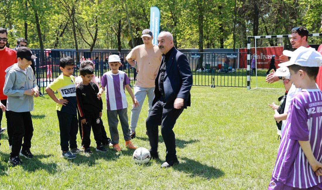 Gebze Belediyesi, Gebze Teknik Üniversitesi, İstanbul Rumeli Üniversitesi, Gebze İlçe