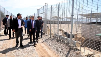 Kocaeli Büyükşehir Belediyesi, sahipsiz köpekleri sıcak yuvada buluşturacağı yeni barınağı