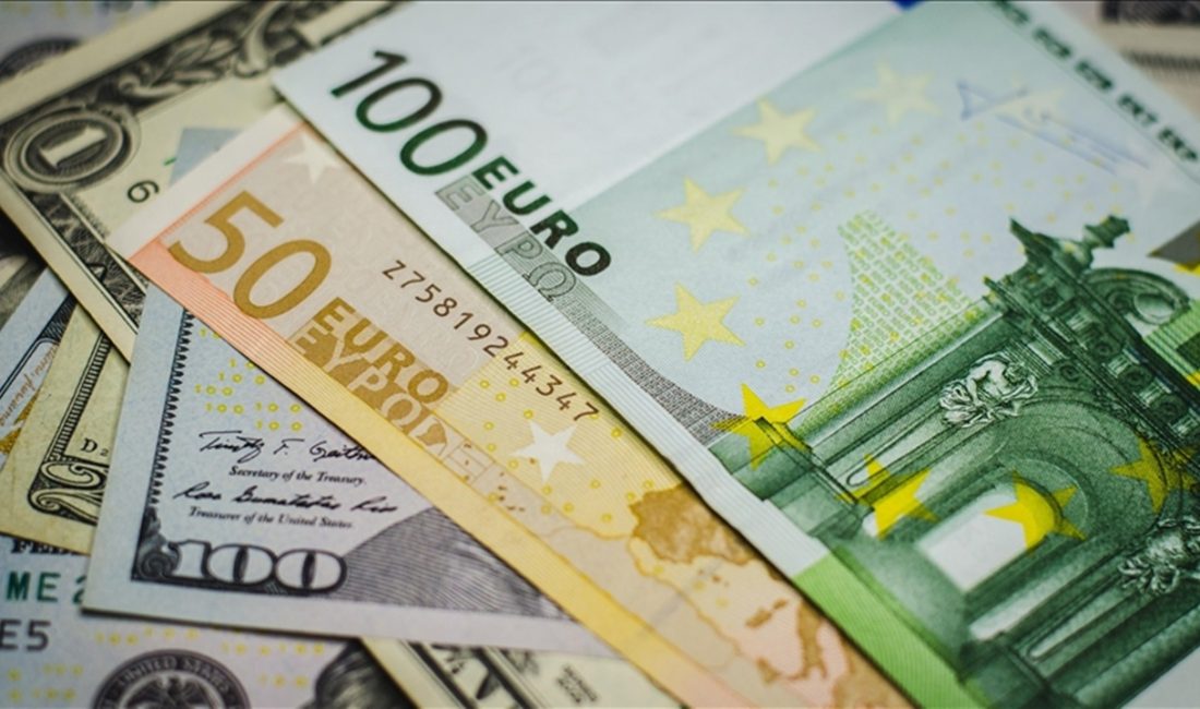 Tüketici Fiyat Endeksi (TÜFE) bazlı Reel Efektif Döviz Kuru (REK)