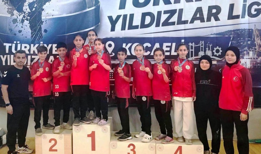 Türkiye Karate Federasyonu 2026 Yılı Spor Toto Türkiye Yıldızlar Karate
