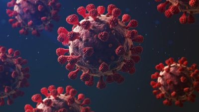 Dünyada yeniden gündeme gelen hanta virüsü vakaları endişe oluştururken, uzmanlar