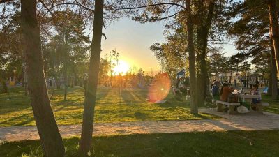 Van İl Sağlık Müdürlüğü Halk Sağlığı Hizmetleri Başkanlığı Bulaşıcı Hastalıklar