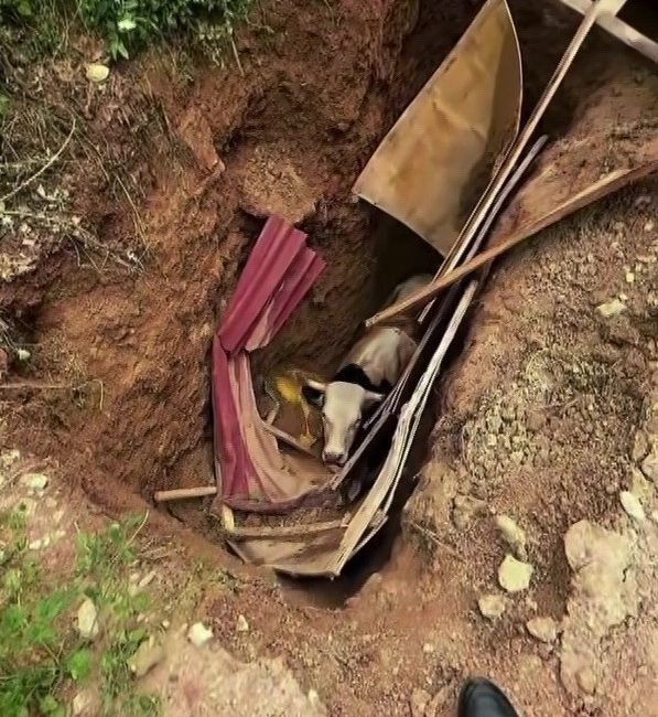 Kocaeli'nin İzmit ilçesinde defineciler tarafından kazıldığı düşünülen 15 metre derinliğindeki