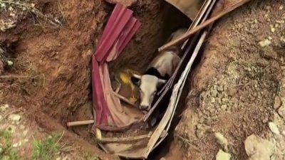 Kocaeli'nin İzmit ilçesinde defineciler tarafından kazıldığı düşünülen 15 metre derinliğindeki