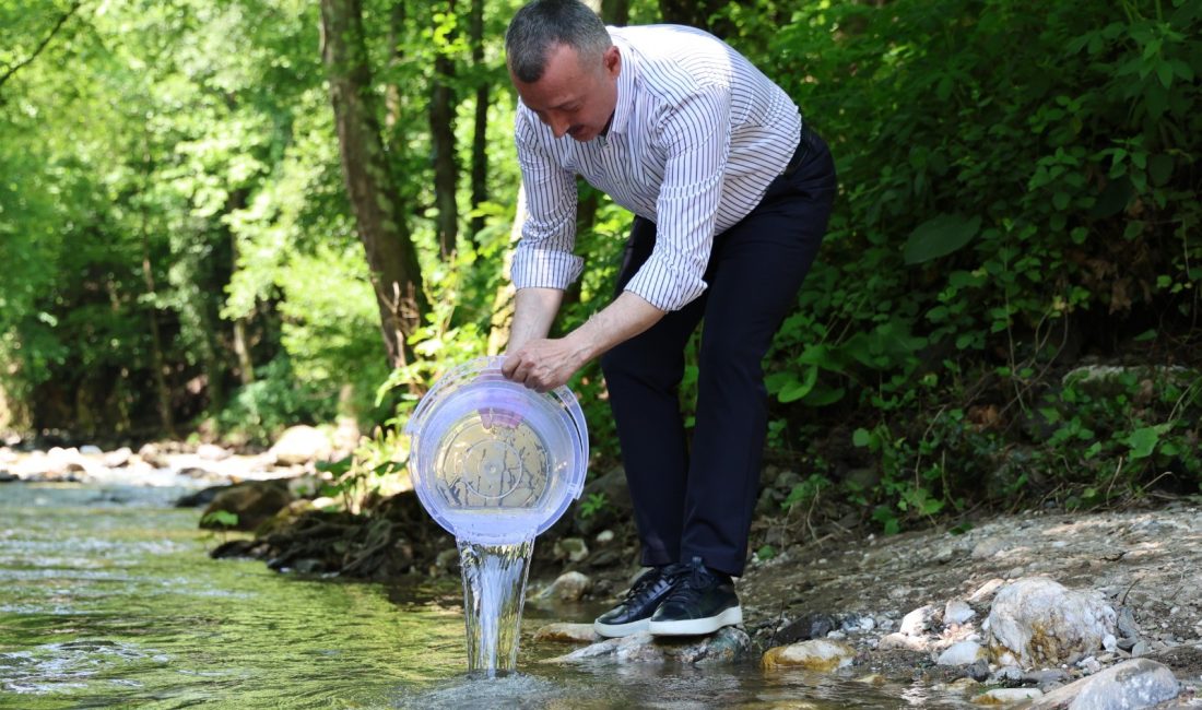 Kocaeli'de su ekosistemini korumak ve canlandırmak amacıyla yürütülen "Orman İçi