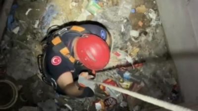 Kocaeli'nin Karamürsel ilçesinde apartman boşluğuna düşen yavru martı, itfaiye ekiplerince