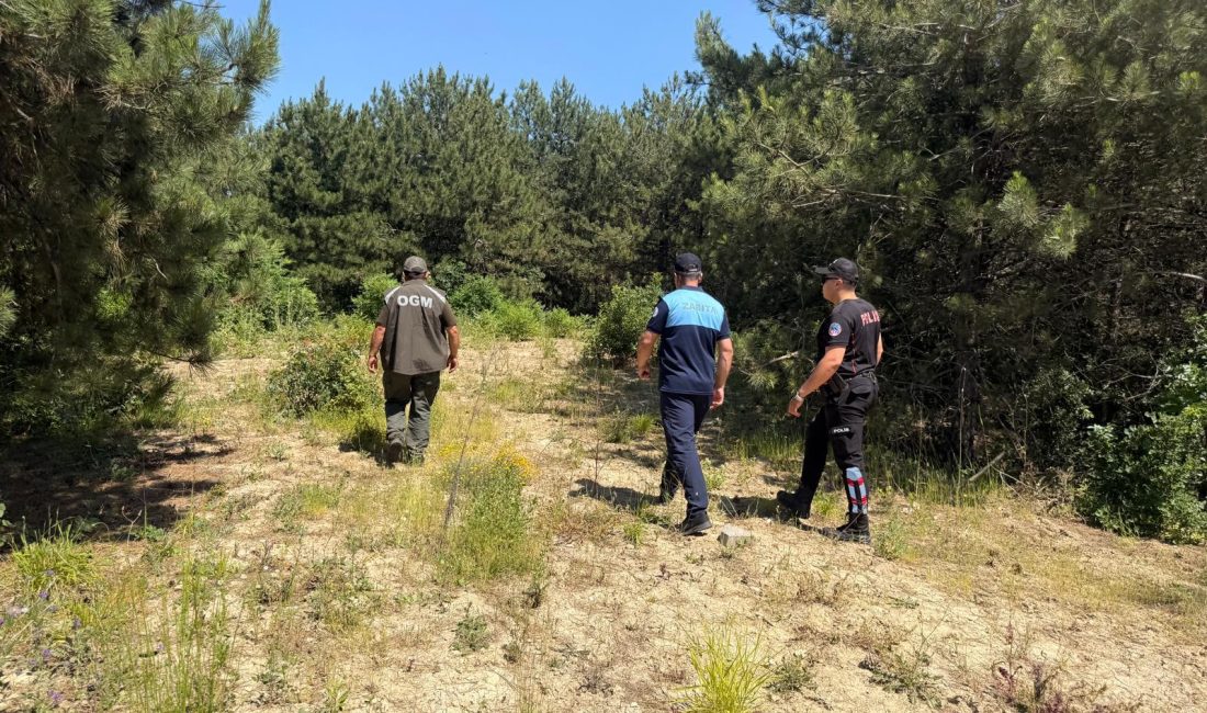 Dilovası'nda yaz aylarının gelmesi ve hava sıcaklıklarının artmasıyla birlikte ormanlık