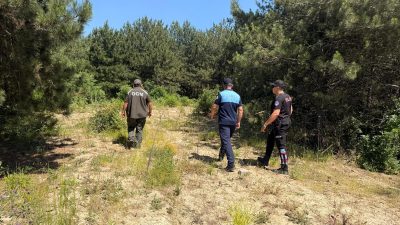 Dilovası'nda yaz aylarının gelmesi ve hava sıcaklıklarının artmasıyla birlikte ormanlık