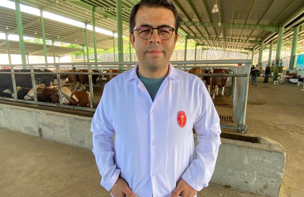 Havaların ısınmasıyla birlikte kene vakalarında artış yaşanırken, uzmanlar özellikle kırsal