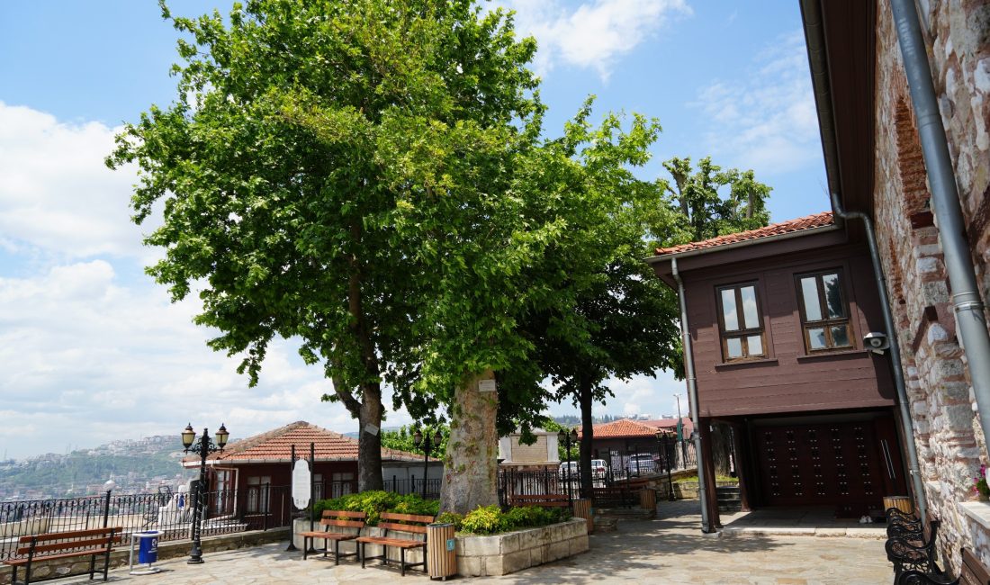 Kocaeli'nin İzmit ilçesinde kente hakim bir tepede yer alan 694