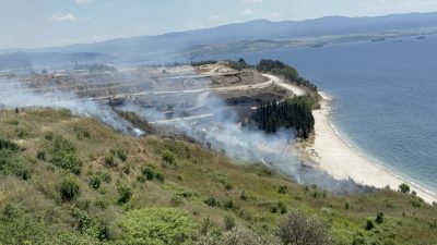  Kocaeli'nin Darıca ilçesinde otluk alanda çıkan yangın, itfaiye ekipleri