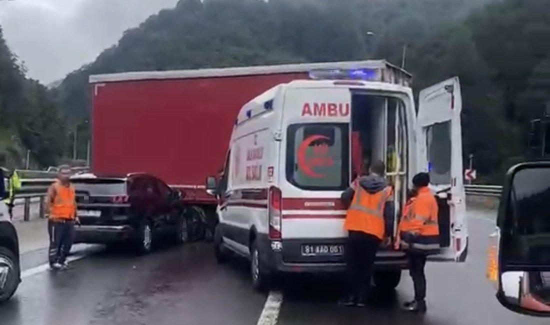 TEM Otoyolu'nun Bolu Dağı geçişinde seyir halindeki tırdan ayrılarak orta
