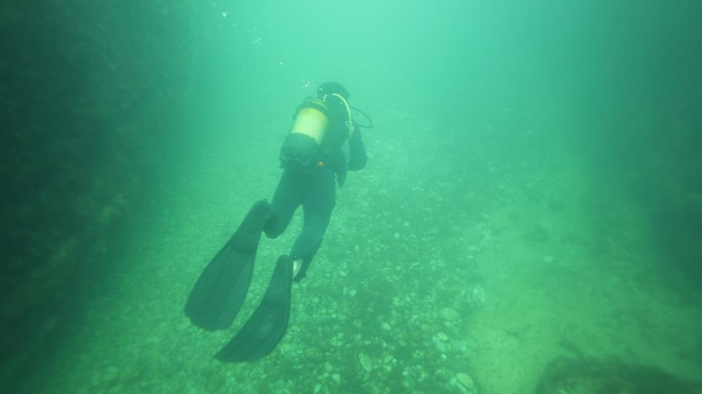Kocaeli Kandıra'ya bağlı turizm merkezi Kerpe'de dalış sezonu başladı! "Ege