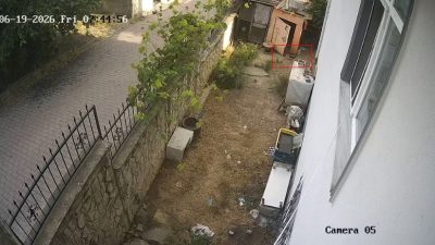Kocaeli'nin Darıca ilçesinde tavuk kümesinden yumurta alan karga, güvenlik kamerasınca