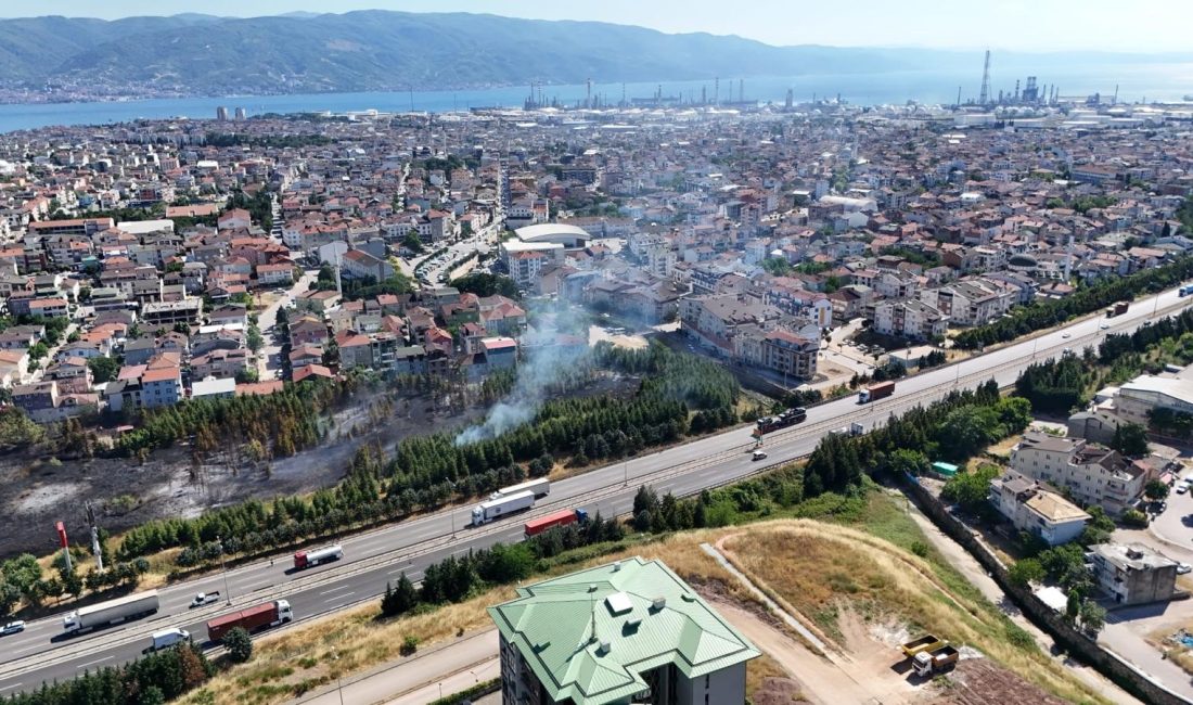  Kocaeli'nin Körfez ilçesi TEM Otoyolu kenarında seyir halindeki saman