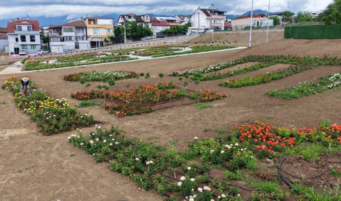 Başiskele Belediyesi tarafından kente kazandırılan Gül Bahçesi, yaklaşık 160 farklı