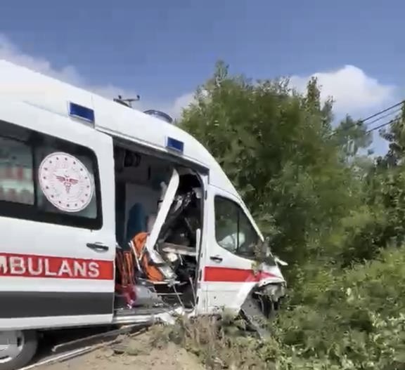Kocaeli'nin Kandıra ilçesinde hasta taşıdığı sırada kontrolden çıkarak yeşillik alana