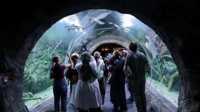 Kocaeli Büyükşehir Belediye Başkanı Tahir Büyükakın, Körfez Aqua Kıtalar Akvaryumu’nun