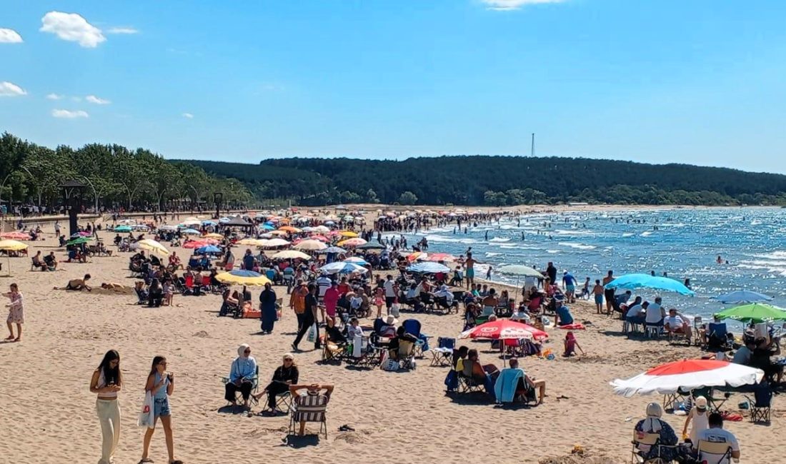 Kocaeli Büyükşehir Belediyesi, yaz sezonunun başlamasıyla birlikte Kandıra sahillerinde temizlik