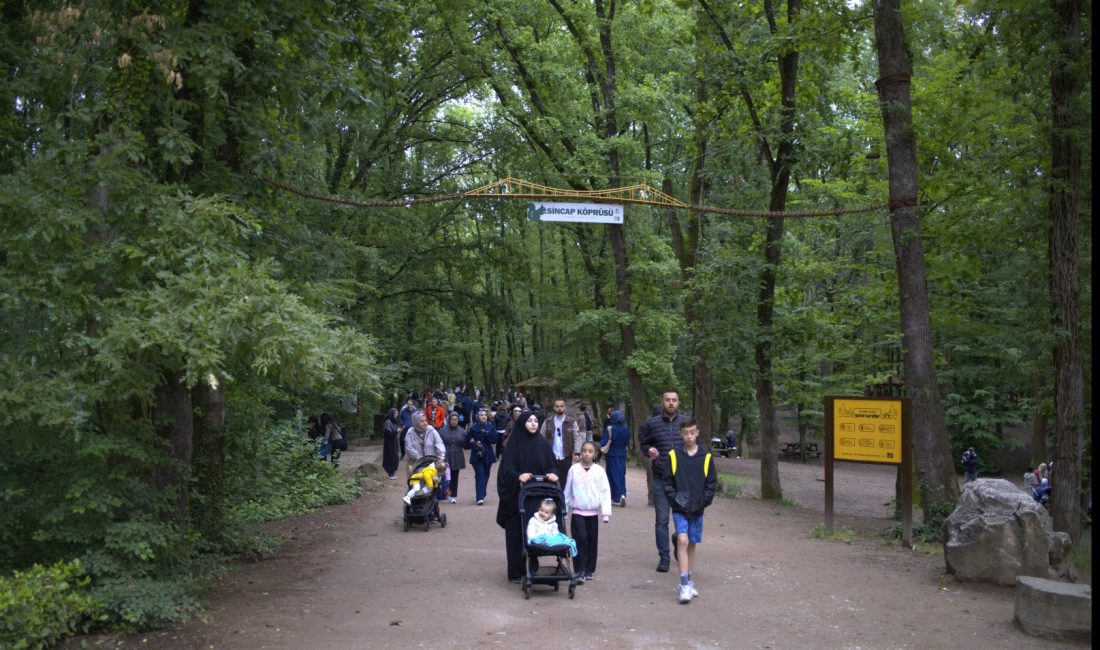 Kocaeli Büyükşehir Belediyesi’nin doğa turizmine kazandırdığı doğal yaşam alanları, 9