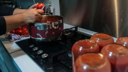 Yaz aylarında sebze ve meyvelerin bol ve kaliteli olması nedeniyle