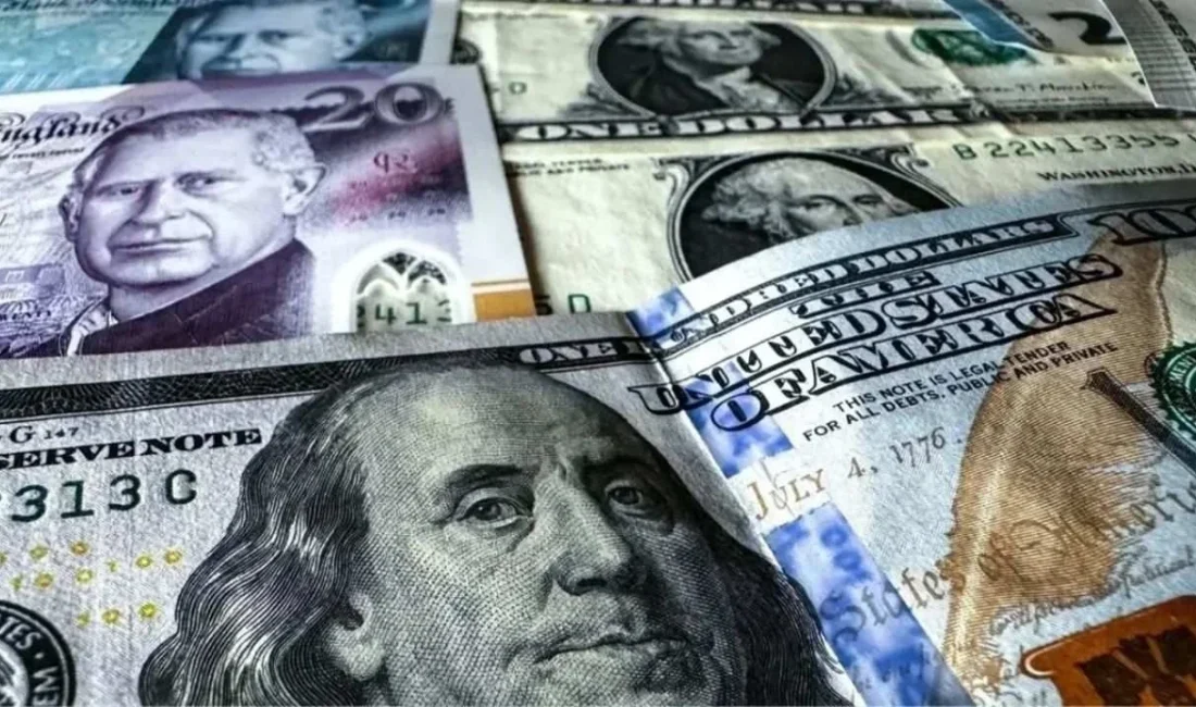 Tüketici Fiyat Endeksi (TÜFE) bazlı Reel Efektif Döviz Kuru (REK)