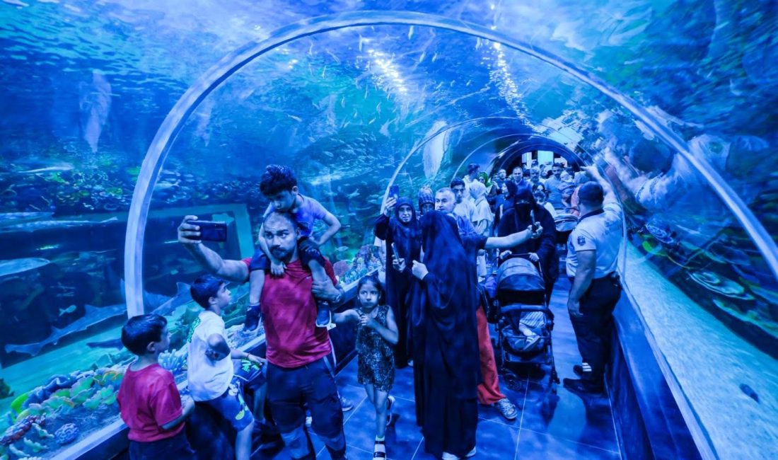 Kocaeli Büyükşehir Belediyesi’nin İzmit Millet Bahçesi’ne (Fuar Park) kazandırdığı Körfez