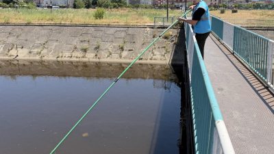 Kocaeli Büyükşehir Belediyesi, İzmit Körfezi’nin ekolojik dengesini korumak amacıyla Körfez’e