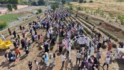 Çayırova'da bu yıl ikincisi gerçekleştirilen lavanta hasadı şenliği, renkli görüntülere
