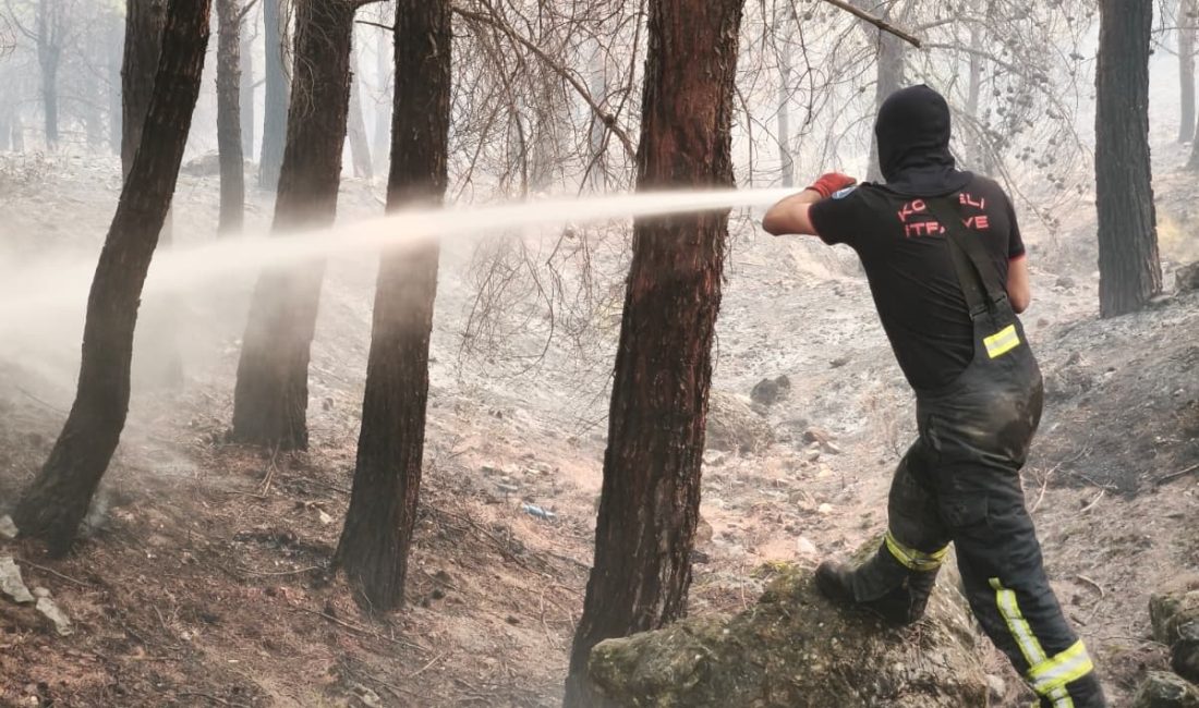 Kocaeli Büyükşehir Belediyesi, Balıkesir’in Gömeç ilçesinde çıkan orman yangınının kontrol